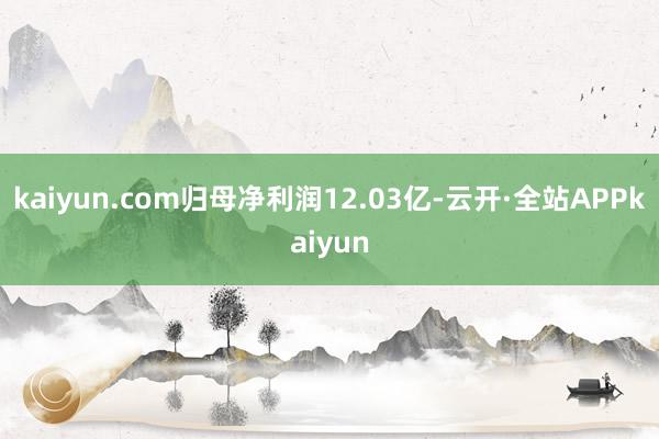 kaiyun.com归母净利润12.03亿-云开·全站APPkaiyun