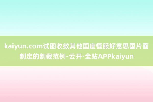 kaiyun.com试图收敛其他国度慑服好意思国片面制定的制裁范例-云开·全站APPkaiyun