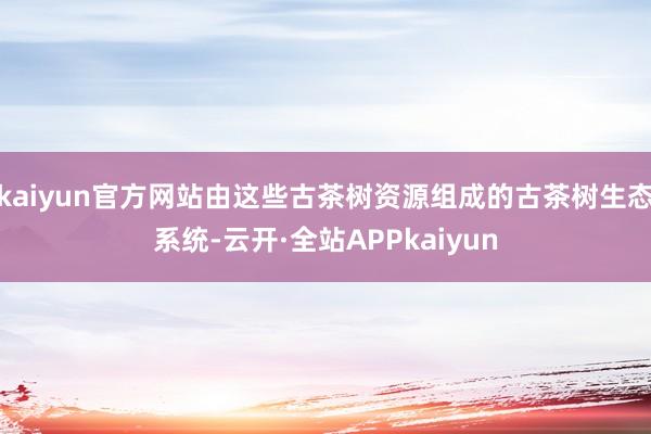 kaiyun官方网站由这些古茶树资源组成的古茶树生态系统-云开·全站APPkaiyun