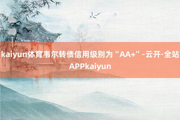 kaiyun体育韦尔转债信用级别为“AA+”-云开·全站APPkaiyun