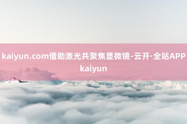 kaiyun.com借助激光共聚焦显微镜-云开·全站APPkaiyun