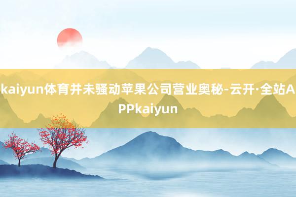 kaiyun体育并未骚动苹果公司营业奥秘-云开·全站APPkaiyun