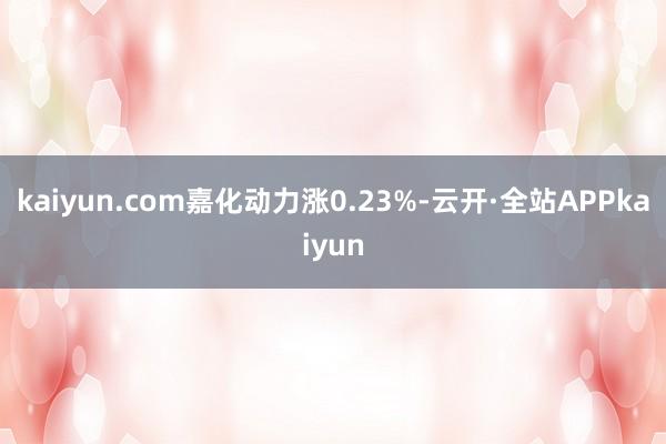 kaiyun.com嘉化动力涨0.23%-云开·全站APPkaiyun