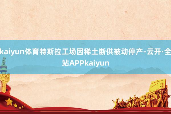 kaiyun体育特斯拉工场因稀土断供被动停产-云开·全站APPkaiyun
