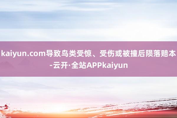 kaiyun.com导致鸟类受惊、受伤或被撞后陨落赔本-云开·全站APPkaiyun
